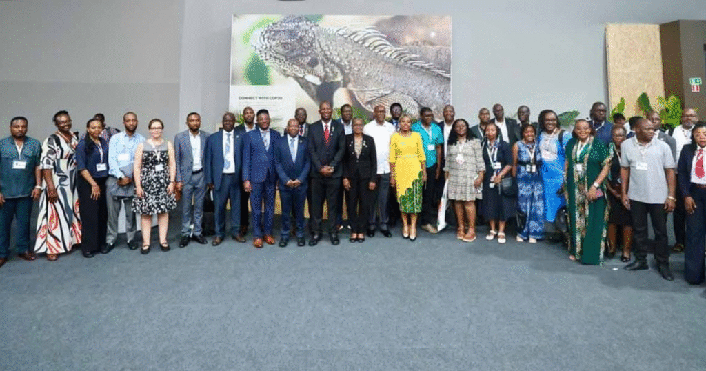 アフリカ連合が「公正な炭素価格」を要求　COP30で年500億ドルの適応資金不足を直撃　炭素市場改革とアフリカ主導型CDR戦略