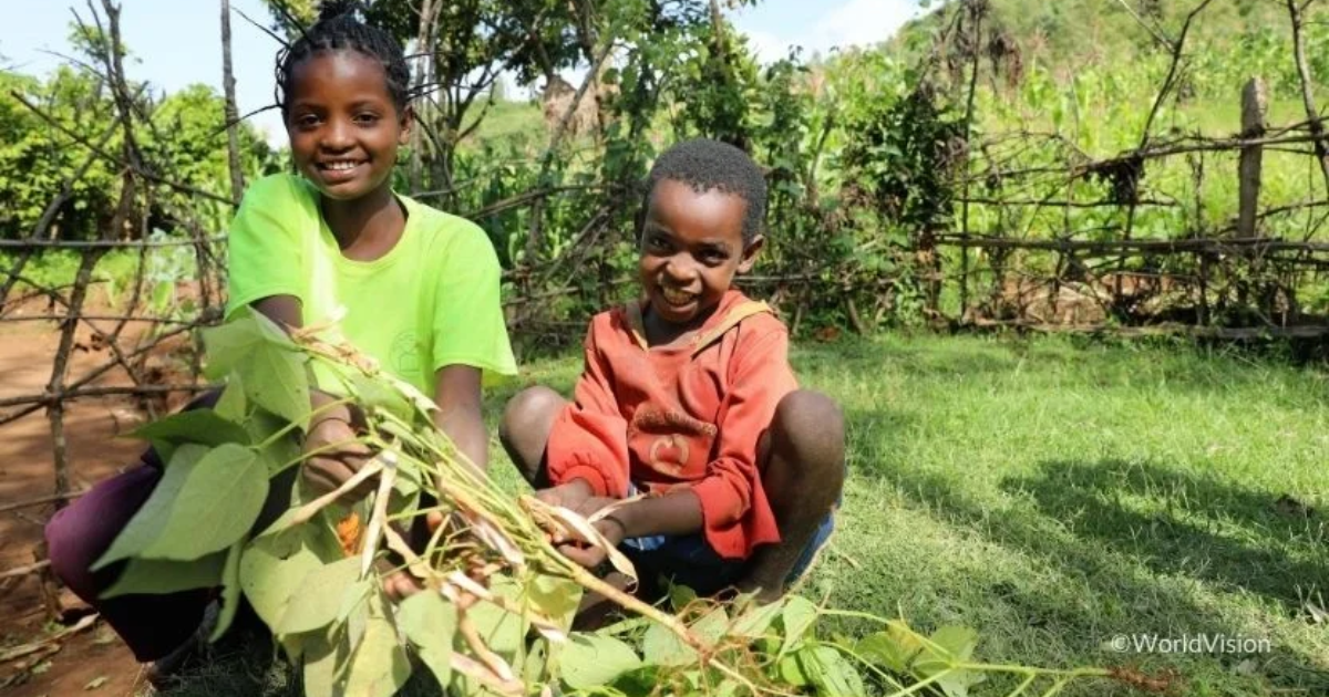 「野村證券とWVJがJCM事業で提携　「住民主体の森林再生」でカーボンクレジット創出へ」のアイキャッチ画像