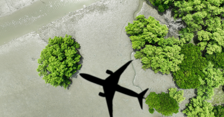 SAFを低コスト化へ　カーボンクレジット専門企業と燃料生産企業が合併