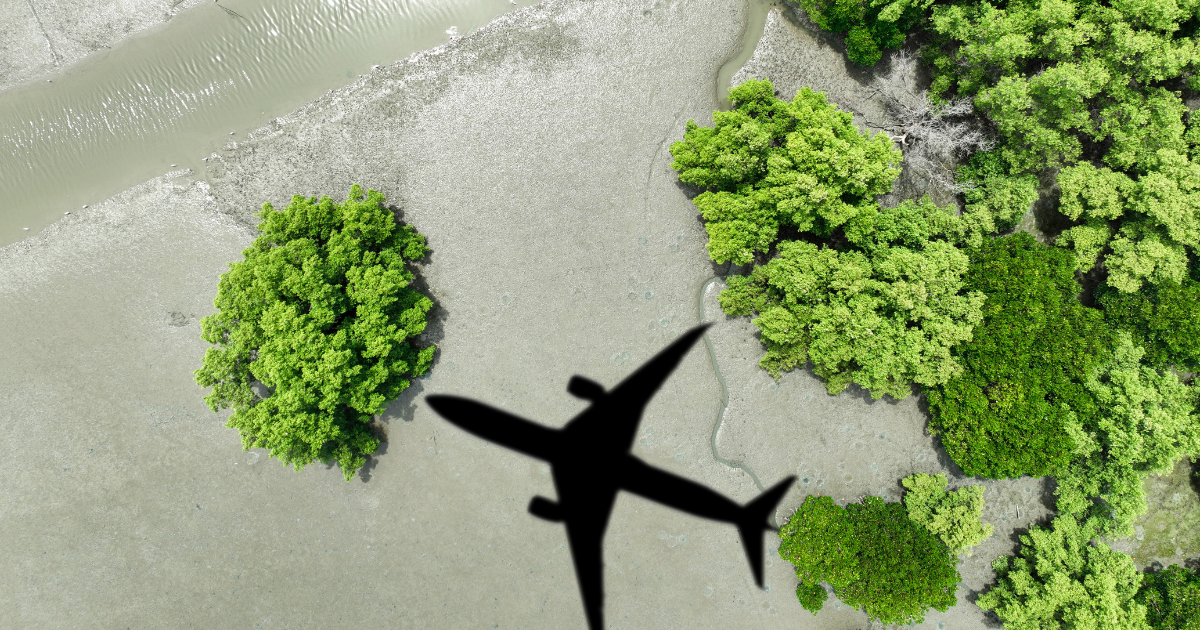 「SAFを低コスト化へ　カーボンクレジット専門企業と燃料生産企業が合併」のアイキャッチ画像