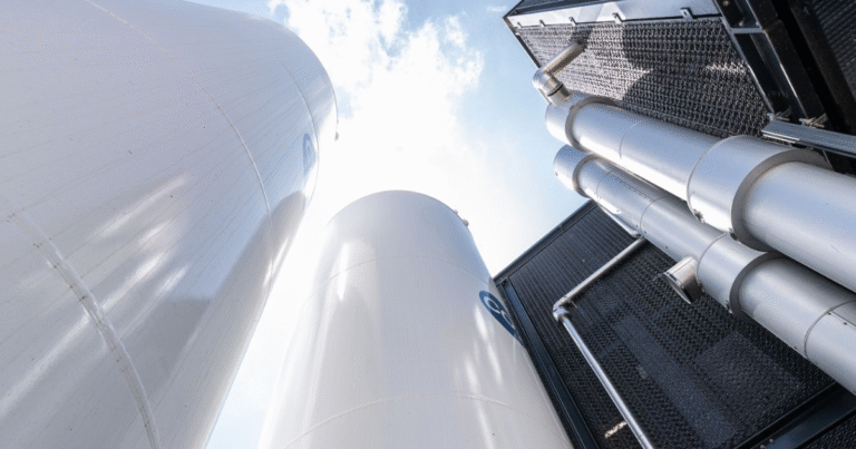 ブルーカーボン連携で水素の価格競争力向上へ　South PoleとUNIDOが「カーボンクレジット創出枠組み」開発...