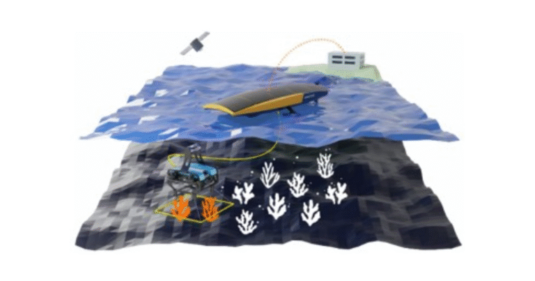 国内初「水上・水中ドローン」連携で藻場計測　神奈川県らがブルーカーボンクレジット創出の自動化実証