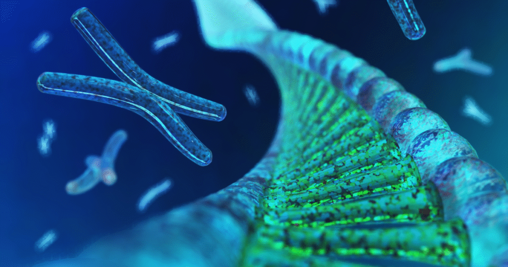 水田メタン削減に「生態系保護」の証明を　大阪ガスなどが環境DNA活用でJ-クレジット高付加価値化へ