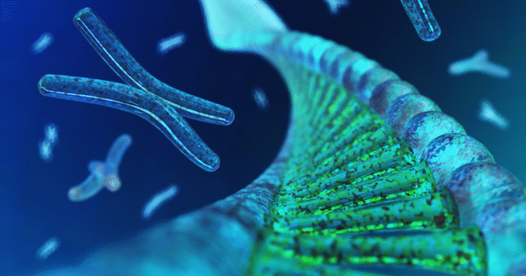 水田メタン削減に「生態系保護」の証明を　大阪ガスなどが環境DNA活用でJ-クレジット高付加価値化へ