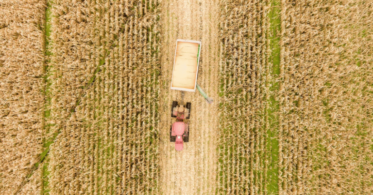 Verra、カーボンインセット新基準S3Sを2026年初頭に開始へ　カーボンクレジットとインセットの「使い分け」...