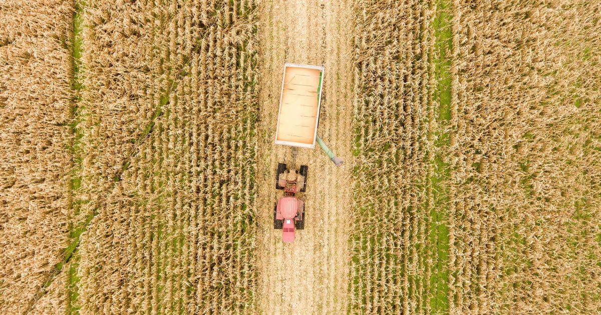 「Verra、カーボンインセット新基準S3Sを2026年初頭に開始へ　カーボンクレジットとインセットの「使い分け」が可能に」のアイキャッチ画像