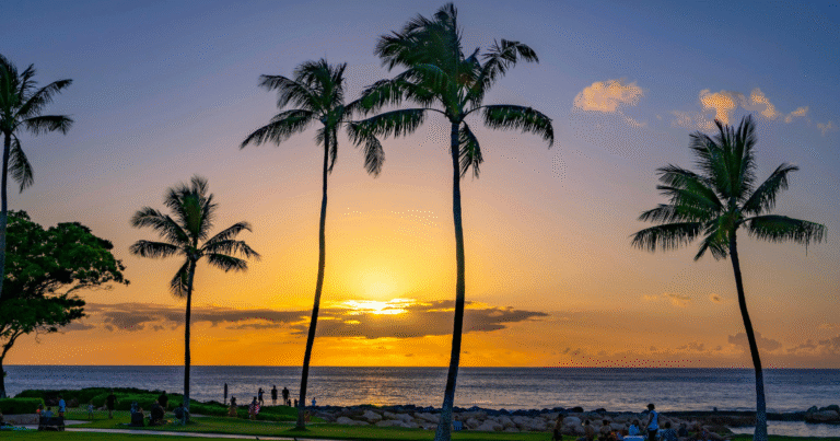 ハワイ州「気候変動対策税」の導入容認　クルーズ船への課税差し止めを連邦地裁が却下