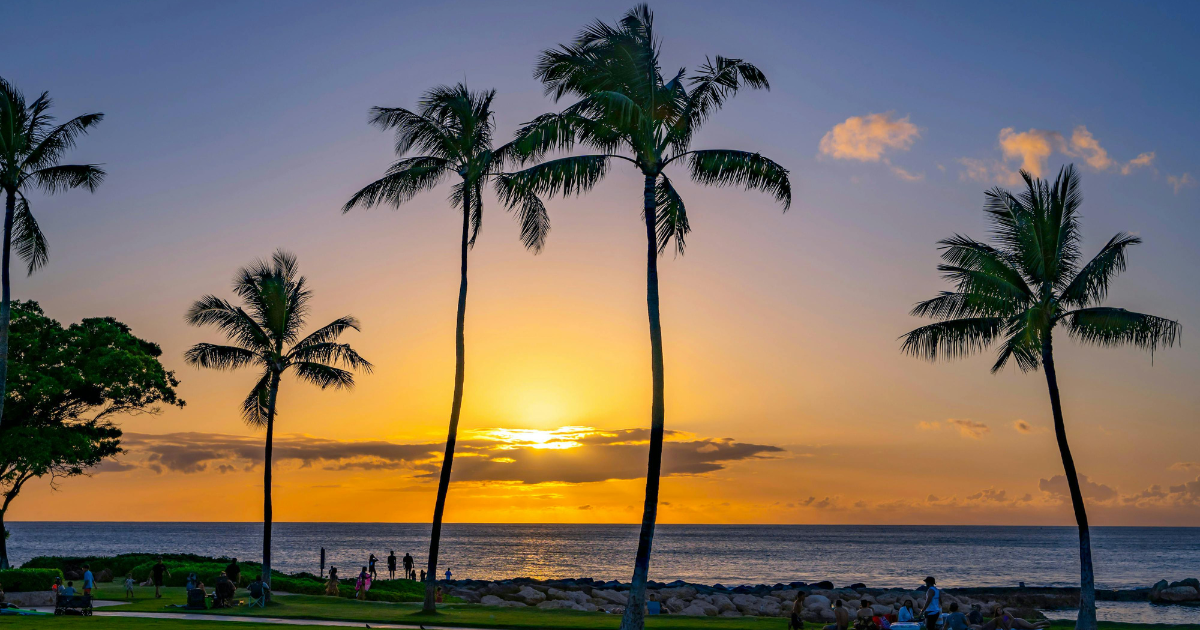 「ハワイ州「気候変動対策税」の導入容認　クルーズ船への課税差し止めを連邦地裁が却下」のアイキャッチ画像