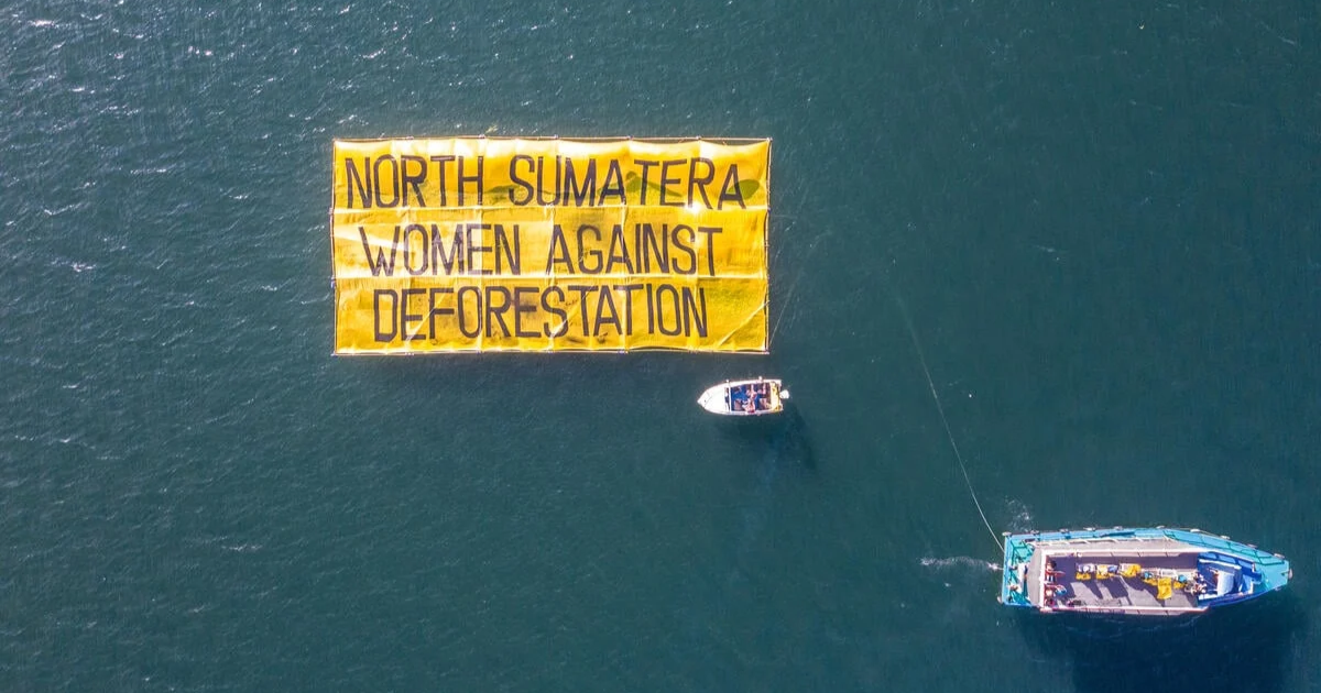 「インドネシア スマトラ島「死者800人超」豪雨災害　環境NGOが「森林破壊が招いた炭素吸収源」の機能不全を指摘」のアイキャッチ画像