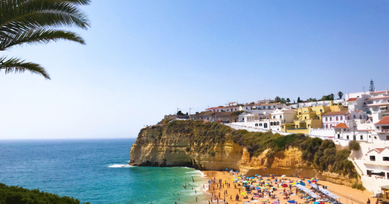 ポルトガル政府ブルーカーボンクレジット創出の国家プロジェクトを始動　海草藻場の再生でブルーカーボン創...