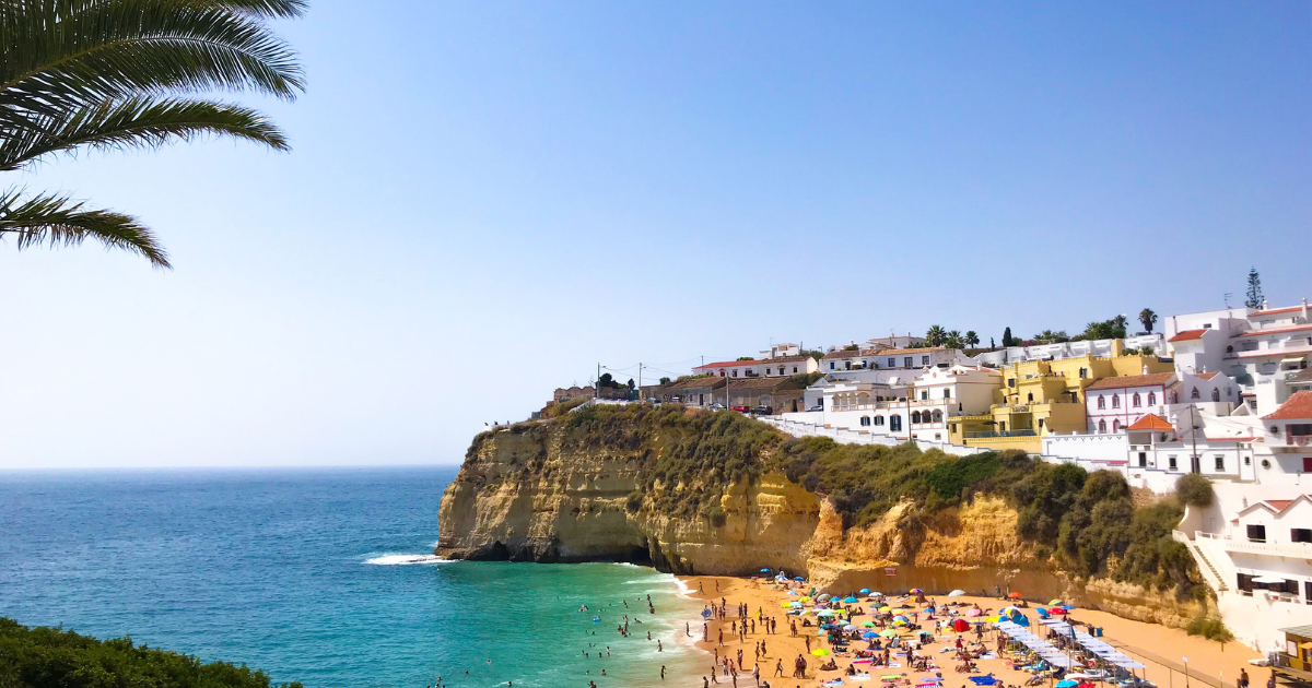 「ポルトガル政府ブルーカーボンクレジット創出の国家プロジェクトを始動　海草藻場の再生でブルーカーボン創出へ」のアイキャッチ画像