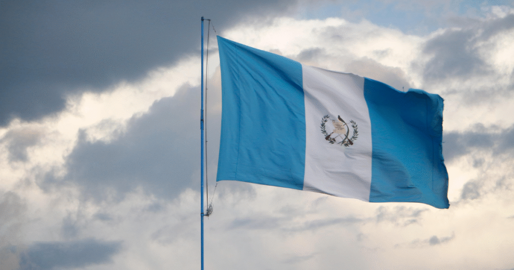 世界銀行FCPF、グアテマラへ37億円分の成果報酬を支払い　高品質な森林由来カーボンクレジットの成果