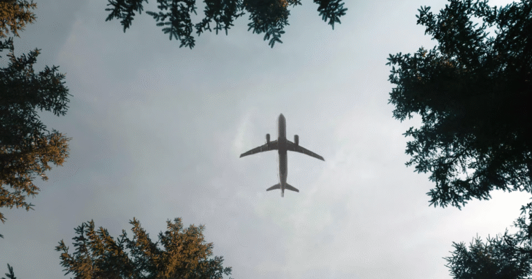 Verra、CORSIA適格クレジットの供給拡大へ保険3商品を初承認　「相当調整」不履行リスクを金融商品で補完