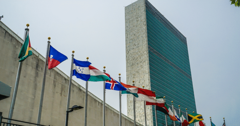 国連MEP、CO2除去の「逆転リスク」評価手法で進展　パリ協定6.4条の技術指針整備