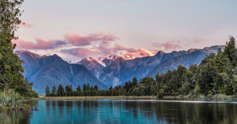 NZ政府、CCSを排出量取引制度に統合へ　「1トン貯留＝1クレジット」で事業化加速
