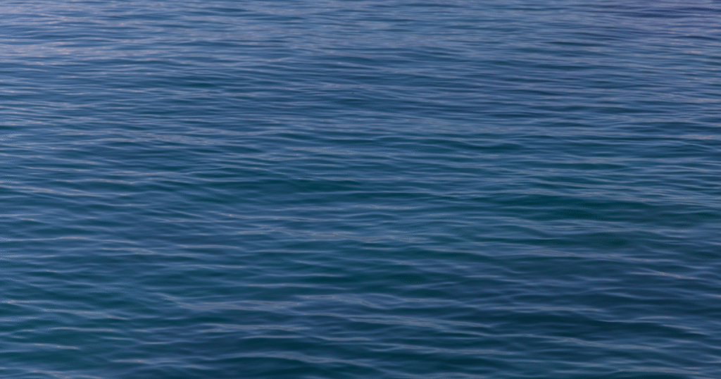 海洋CDRの「測定基盤」を確立へ　米[C]WorthyがMRVツール開発の資金調達