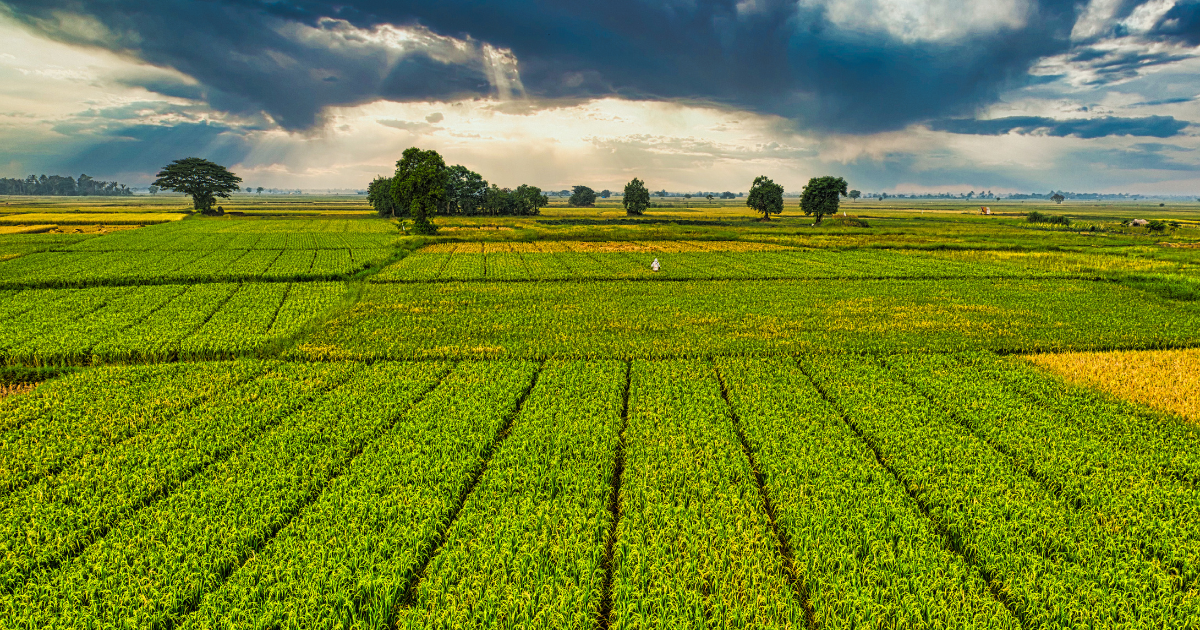 「EU農業界「CBAM肥料適用」の延期を要請　不透明な炭素コスト算出と供給網混乱を懸念」のアイキャッチ画像