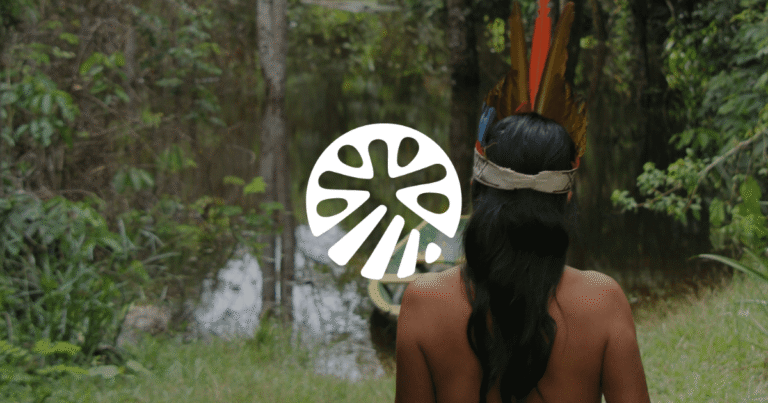 カーボンクレジット基準のエクイタブル・アースが先住民族主導のガバナンス組織を公募