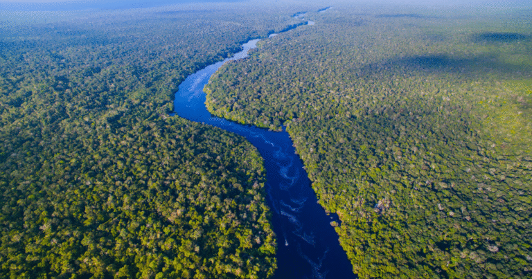 アマゾンでのカーボンクレジット事業無効化を要求　ブラジル検察が「先住民合意なし」としてVerraらを提訴