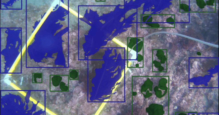 「水中ドローン」で国内初の認証取得　神奈川県がJブルークレジットの低コスト化を実現