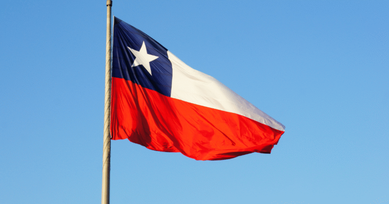 チリ、パリ協定第6条の国内規制を公布　大統領選前日の「駆け込み」で国際取引枠組みを始動