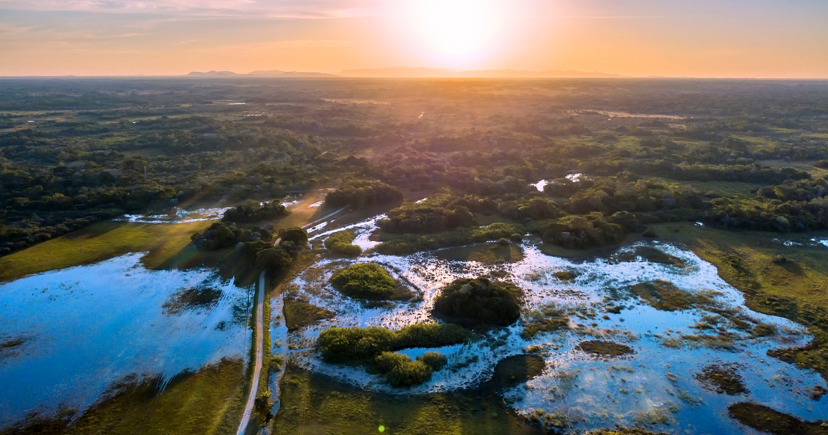 「ブラジル州政府がカーボンクレジット管理組織「SPV」を設立　REDD+や植林で2030年ネットゼロ目標」のアイキャッチ画像