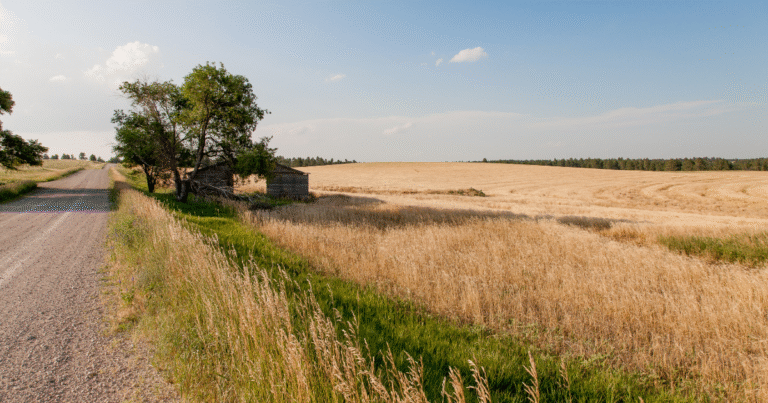 米エタノール大手、全拠点でCCS稼働開始　「45Z」税額控除の早期収益化を実現