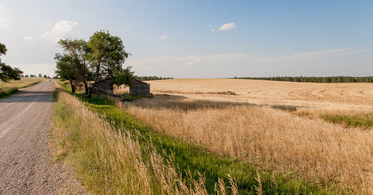 「米エタノール大手、全拠点でCCS稼働開始　「45Z」税額控除の早期収益化を実現」のアイキャッチ画像