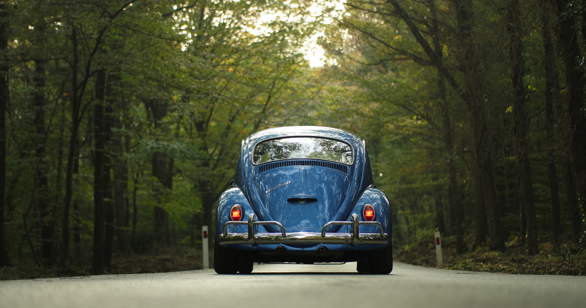 「フォルクスワーゲン、英スコットランドで泥炭地修復へ投資　100年間の「自然由来CDR」創出プロジェクト始動」のアイキャッチ画像