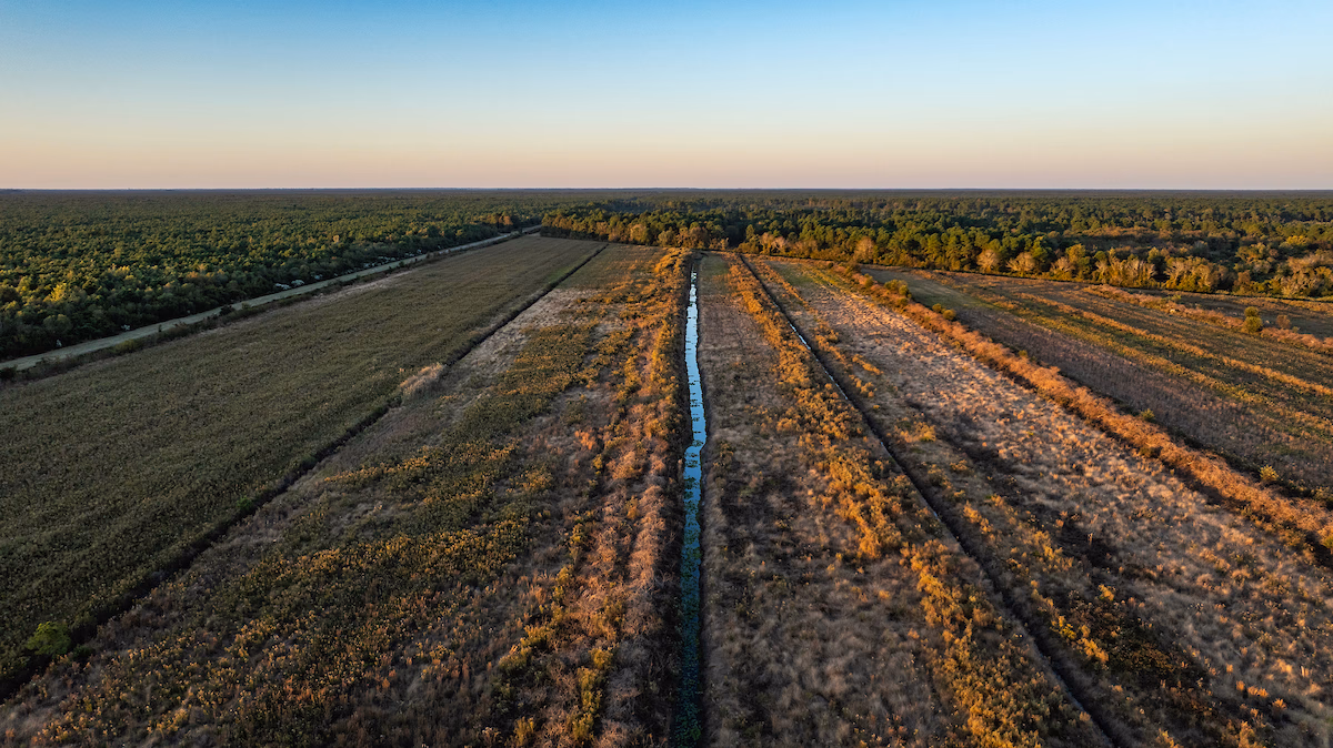 「米マイクロソフト、「泥炭地修復」でCDRクレジット確保へ　米パンテオンに出資・役員派遣も」のアイキャッチ画像