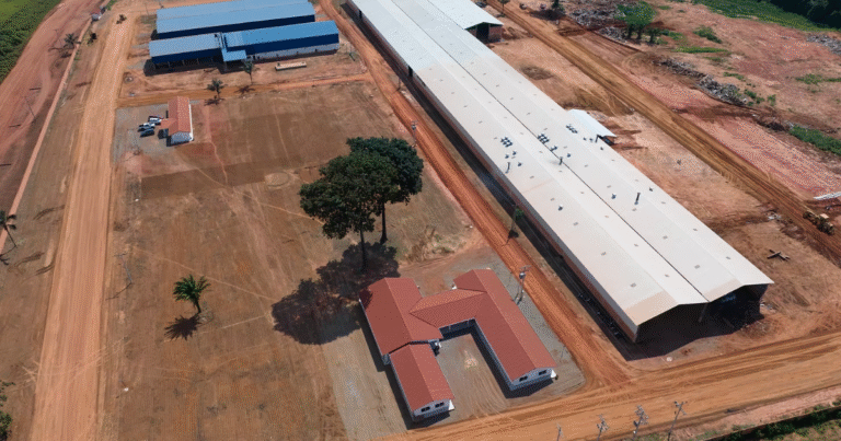 CO2除去能力を年12万トンへ倍増　ボリビア企業Exomad Greenがバイオ炭拠点を拡張