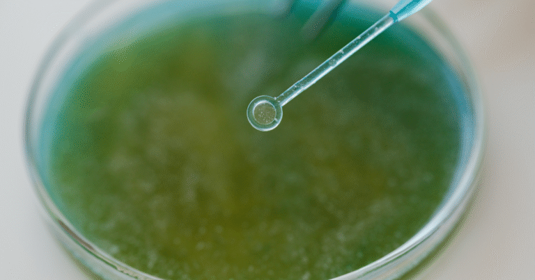 Gold Standardが「微生物による炭素鉱物化」手法を公開　農地での永続的なCO2除去を促進