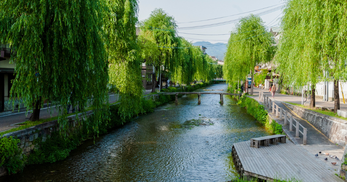 「京都市がグリーンボンド発行へ　大和証券が法人向け窓口販売を開始」のアイキャッチ画像