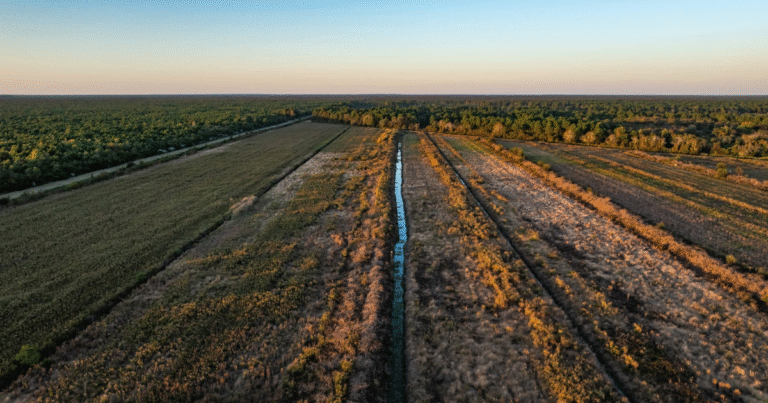 「10万トンのカーボンクレジットを先買」　カナダの脱炭素ファンドが米泥炭地再生に出資