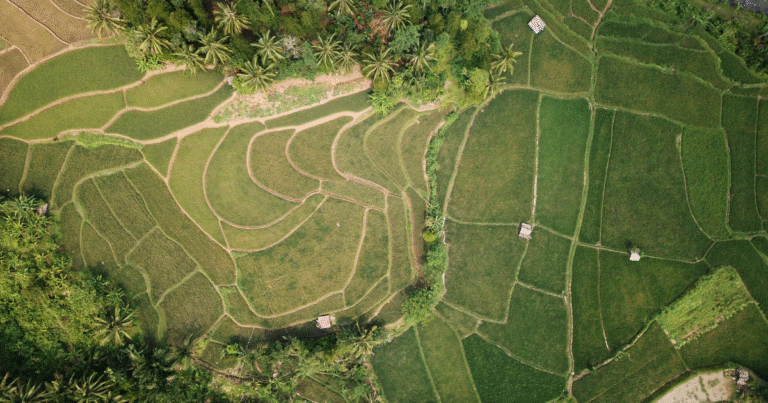 JCM相互承認で連携加速　インドネシア炭素市場の拡大に日本企業が期待