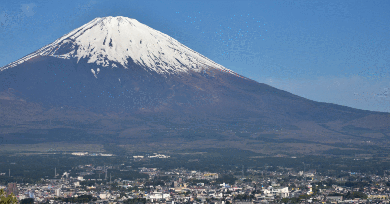 御殿場市が富士山J-クレジットを公募販売　1トン1.4万円で森林由来428トンを提供