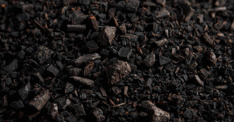 バイオ炭施設の資産売却で12億円を確保　BluSky Carbon「米アーカンソー州拠点」の拡張を加速