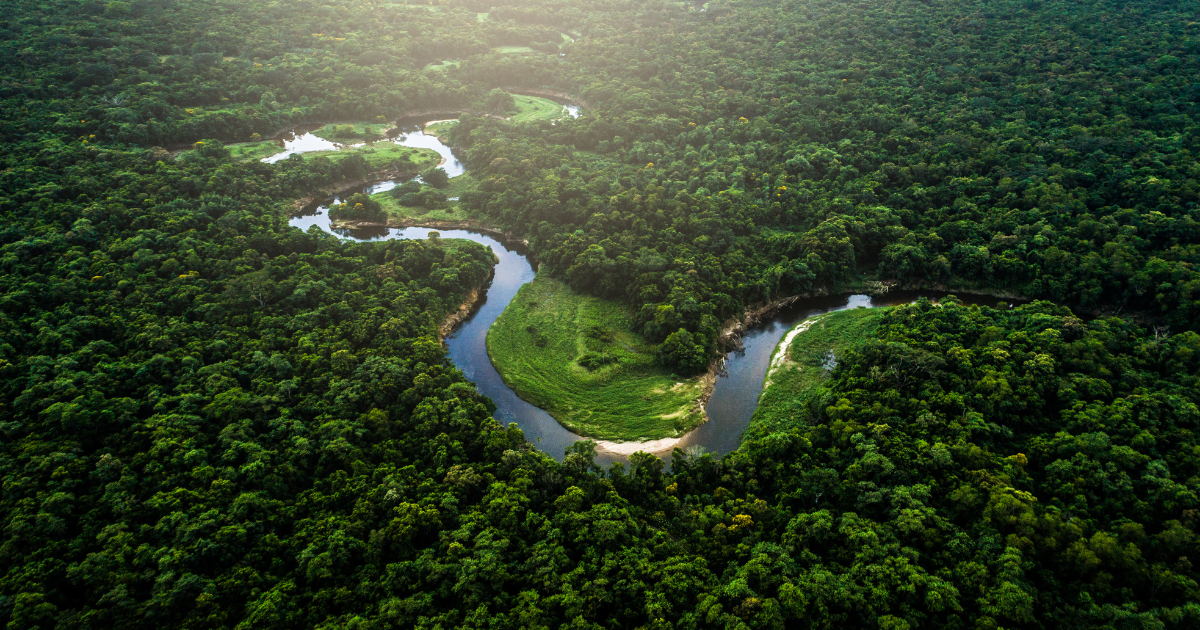 「ブラジル全土の炭素蓄積量を可視化へ　石油大手のPetrobrasとShellが28億円規模の投資で「国内初の基準」策定へ」のアイキャッチ画像