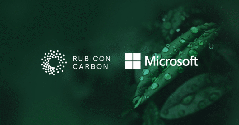 マイクロソフトがカーボンクレジット200万トンを調達　ウガンダの森林再生クレジットを確保