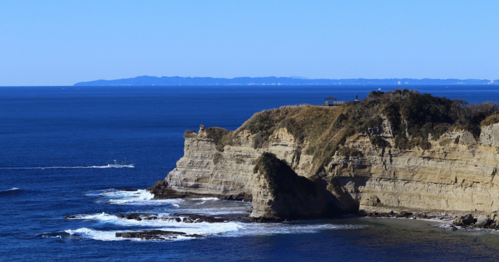 業界初、東急不動産がブルーカーボン創出　千葉・勝浦でJブルークレジット認証を取得