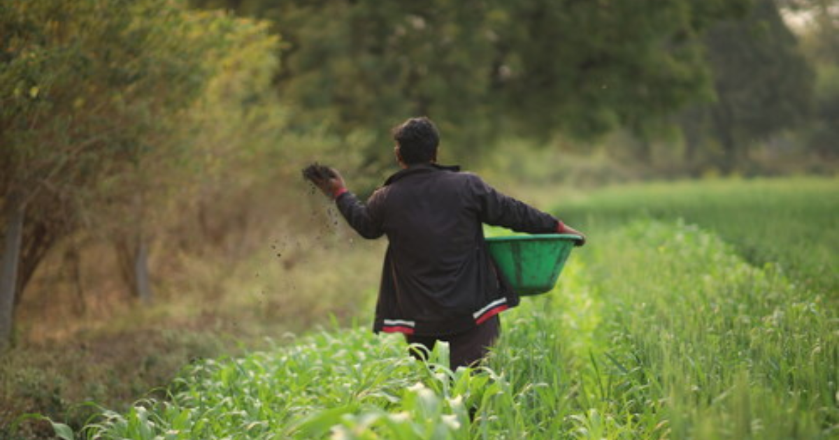 「マイクロソフトがインド気候テックVarahaからバイオ炭由来のカーボンクレジット10万トン分を購入」のアイキャッチ画像