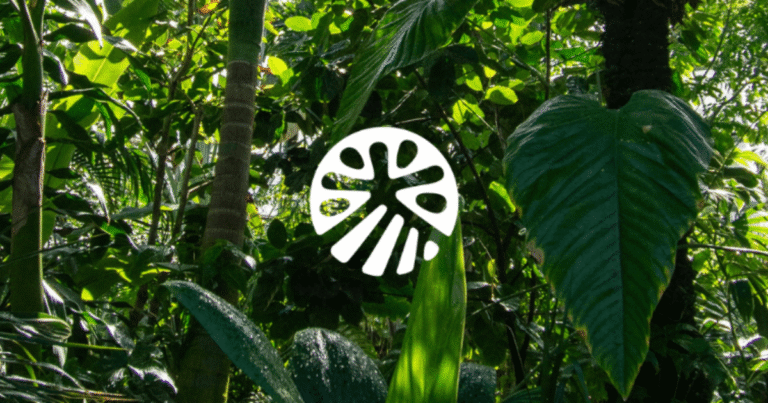 Equitable Earthが21億円の資金調達　自然由来CO2除去のカーボンクレジット認証を加速