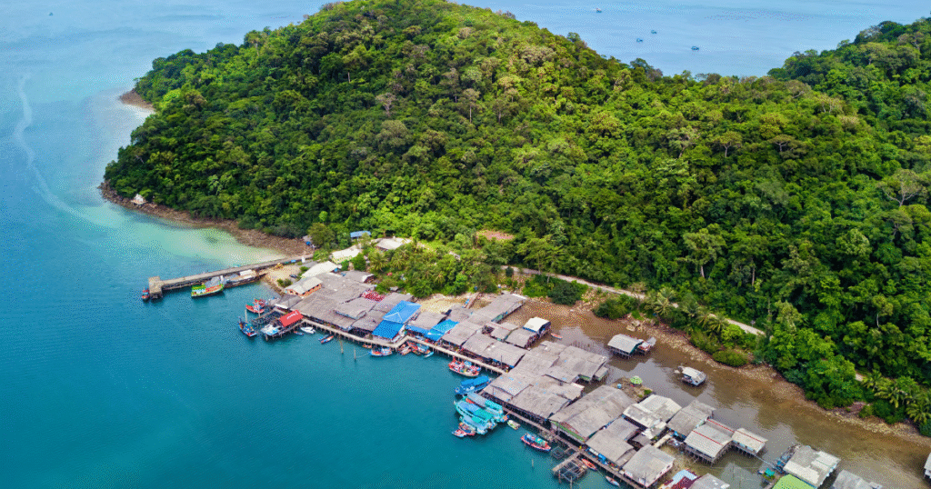 マレーシア森林基金が「持続可能な金融」試行へ　銀行と森林カーボンクレジット制度を構築