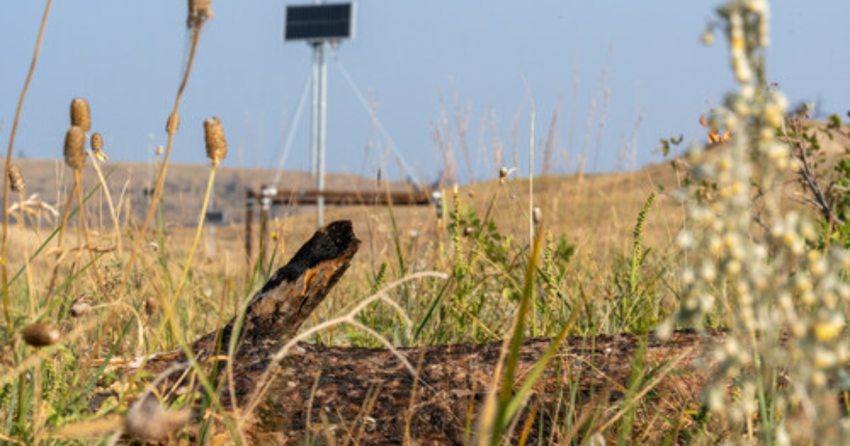 「米Mast Reforestationが世界初の「埋設型CDR」クレジットを販売　カナダ王立銀行らへ納入」のアイキャッチ画像