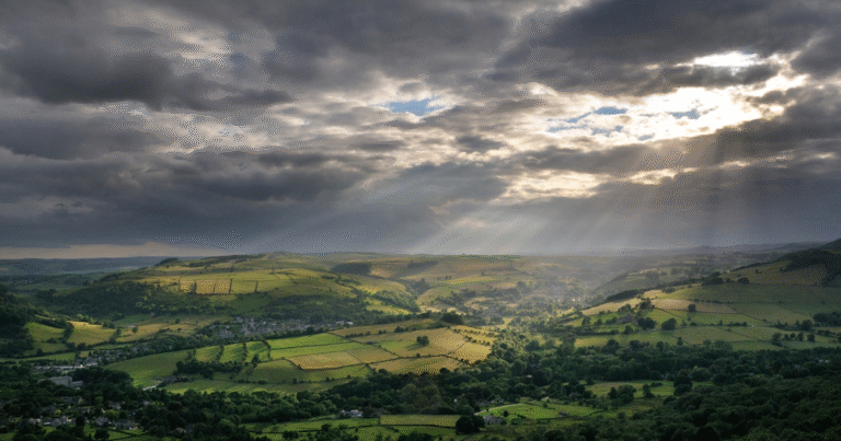 英国の水道大手3社が47億円超を泥炭地再生に投融資　「自然資本」を国家インフラと定義