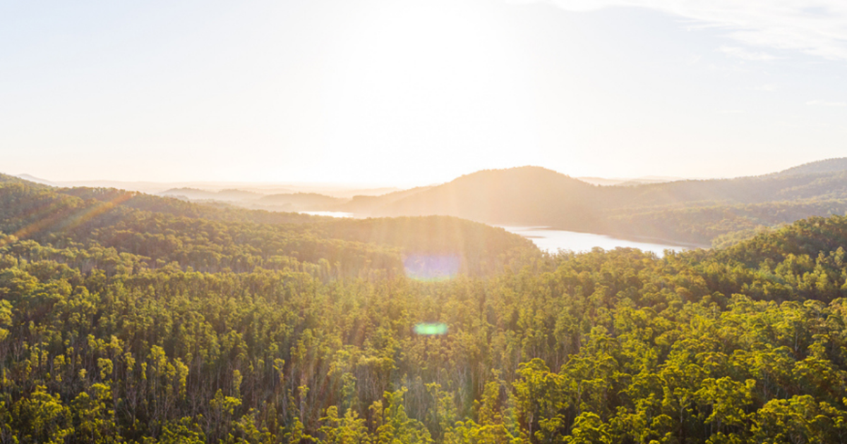 「森林管理による長期的な気候利益を証明　豪フォレストリー・オーストラリアが報告書公表」のアイキャッチ画像