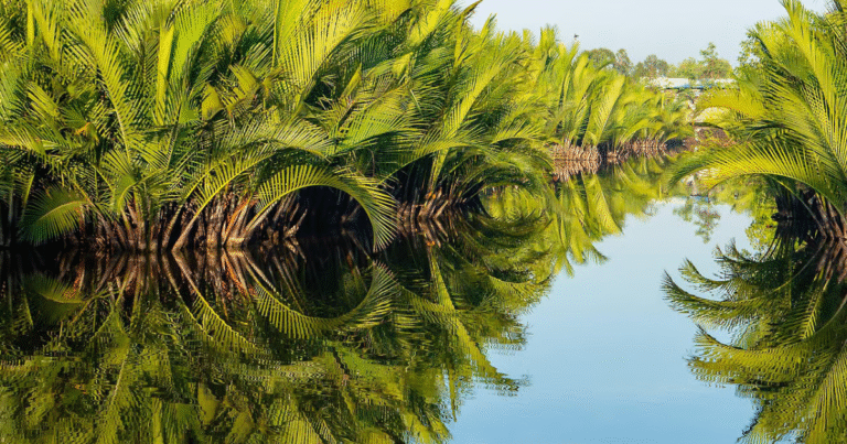 Verraが2025年決算で赤字を大幅圧縮　100万ドル未満に抑制し財務基盤を回復