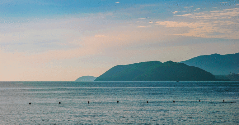 ブルーカーボンを排出量取引へ導入検討　米ワシントン州が新プロトコル策定の専門家募集