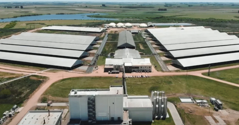 Trafiguraが「電化バイオガス」SAFを長期購入　ウルグアイでCO2除去と燃料製造を両立