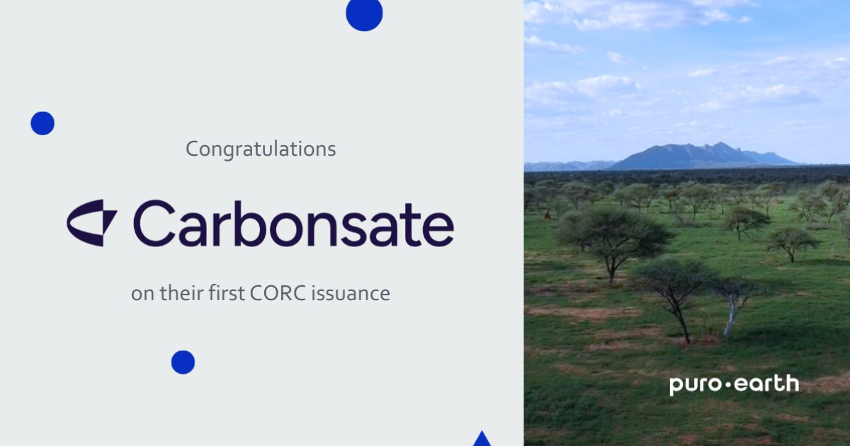 「バイオマスの陸上貯留で800トンのCO2固定を実現　ドイツCarbonsateがナミビアで初のカーボンクレジットをPuro.earthから発行」のアイキャッチ画像
